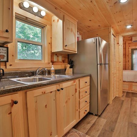 שאטאנוגה River Cabin Hot Tub & Swim Spa Near Downtown מראה חיצוני תמונה